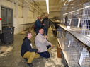 2013_poultry_show_002.JPG